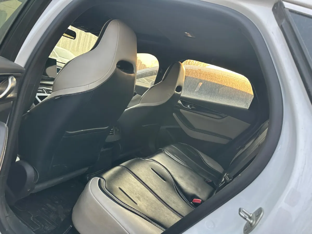 2021 DongFeng FuKang e Elysee BEV 30.7KWH,autocango,china used car exporter,china ev exporter,chinese used car exporter,chinese used ev exporter