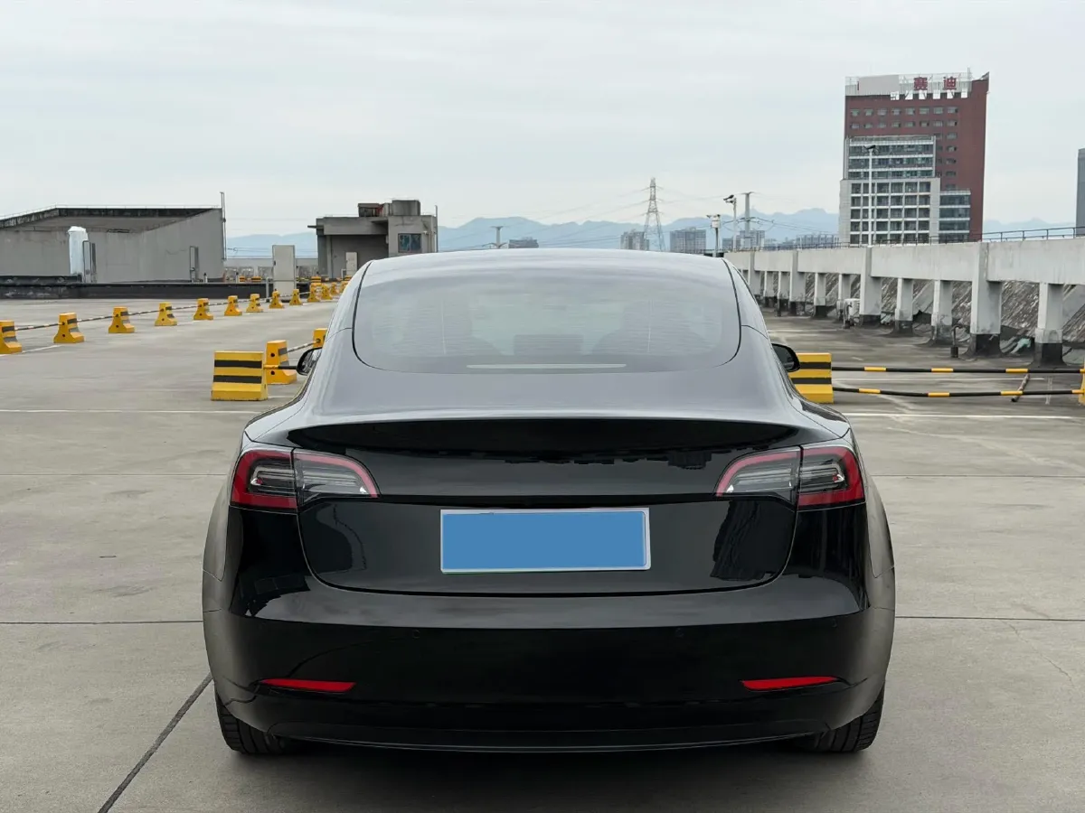 2021 Tesla Model 3 BEV 55KWH,autocango,china used car exporter,china ev exporter,chinese used car exporter,chinese used ev exporter