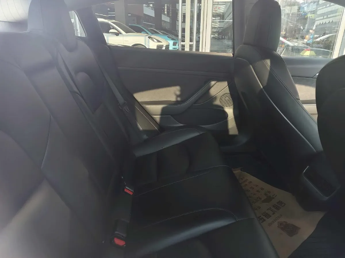 2021 Tesla Model 3 BEV 55KWH,autocango,china used car exporter,china ev exporter,chinese used car exporter,chinese used ev exporter