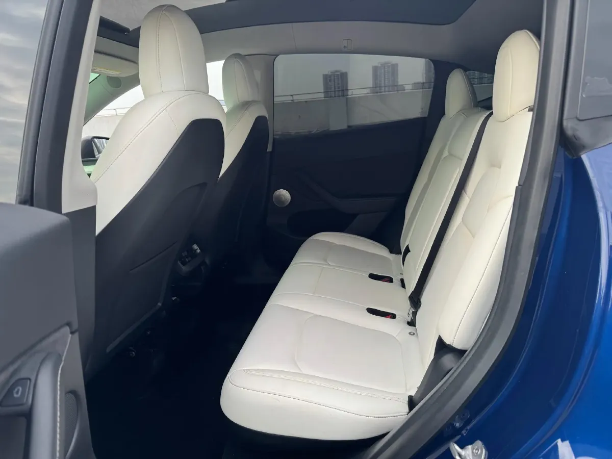 2021 Tesla Model 3 BEV 76.8KWH,autocango,china used car exporter,china ev exporter,chinese used car exporter,chinese used ev exporter