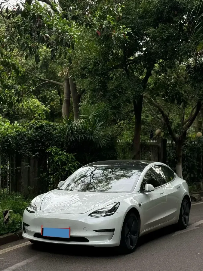 2019 Tesla Model 3 BEV 81KWH,autocango,china used car exporter,china ev exporter,chinese used car exporter,chinese used ev exporter