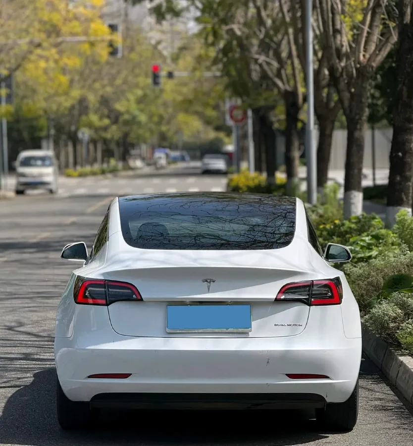 2019 Tesla Model 3 BEV 81KWH,autocango,china used car exporter,china ev exporter,chinese used car exporter,chinese used ev exporter