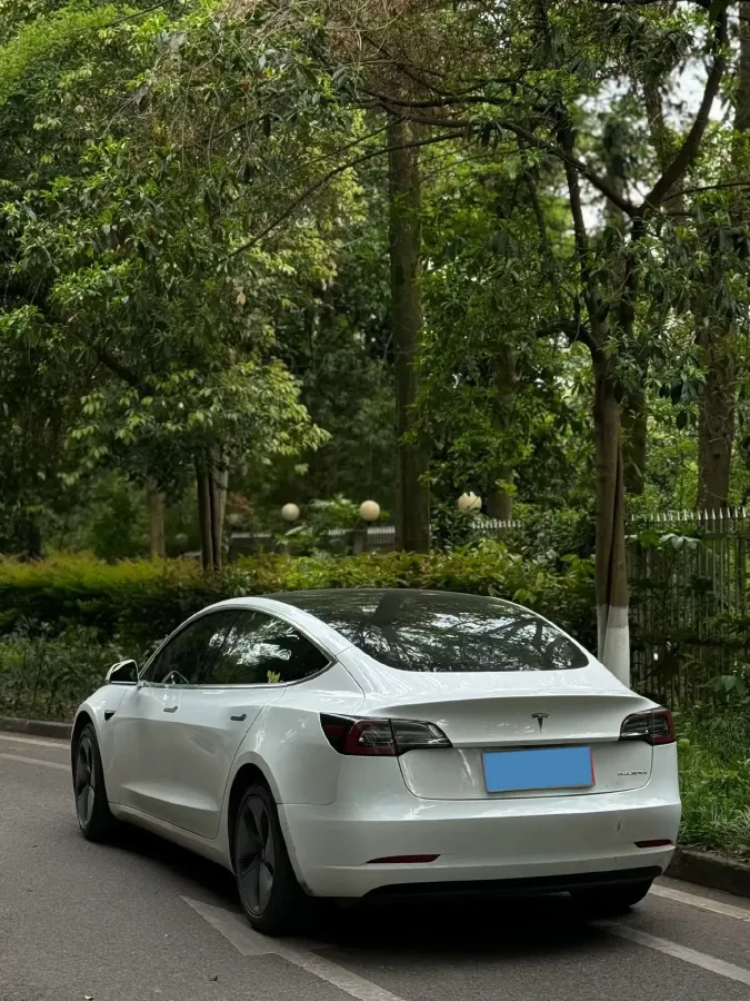2019 Tesla Model 3 BEV 81KWH,autocango,china used car exporter,china ev exporter,chinese used car exporter,chinese used ev exporter