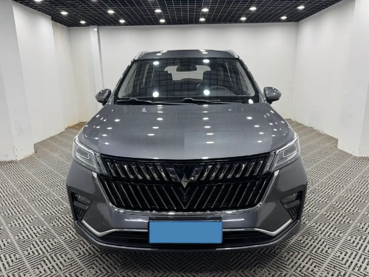 2022 Venucia T60 1.6L 126HP L4 CVT,autocango,china used car exporter,china ev exporter,chinese used car exporter,chinese used ev exporter