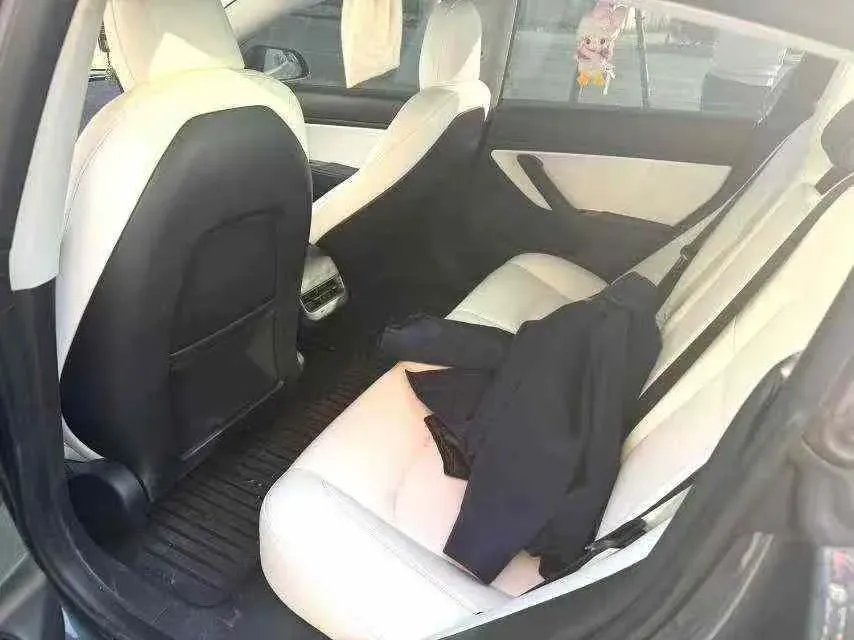 2025 Tesla Model 3 BEV,autocango,china used car exporter,china ev exporter,chinese used car exporter,chinese used ev exporter