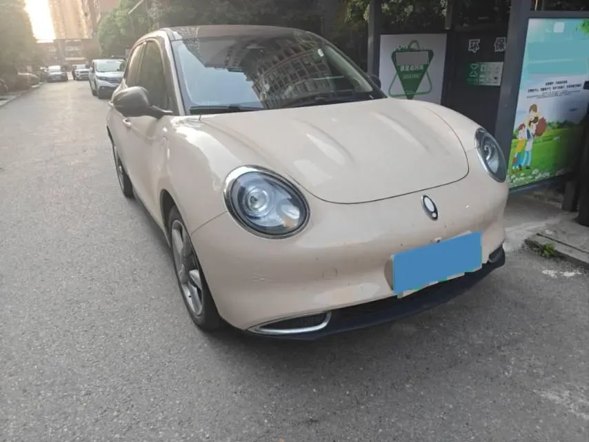 2021 Ora FunkyCat BEV 45.99KWH,autocango,china used car exporter,china ev exporter,chinese used car exporter,chinese used ev exporter