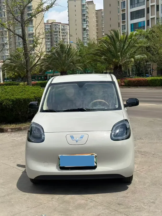 2025 WuLing HongGuang MINI EV BEV 16.2KWH,autocango,china used car exporter,china ev exporter,chinese used car exporter,chinese used ev exporter