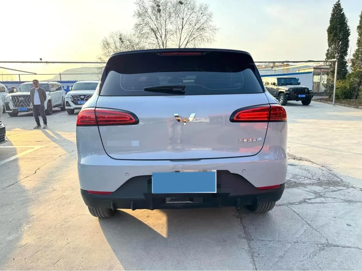 2024 WuLing BinGuoPLUS BEV 50.6KWH,autocango,china used car exporter,china ev exporter,chinese used car exporter,chinese used ev exporter