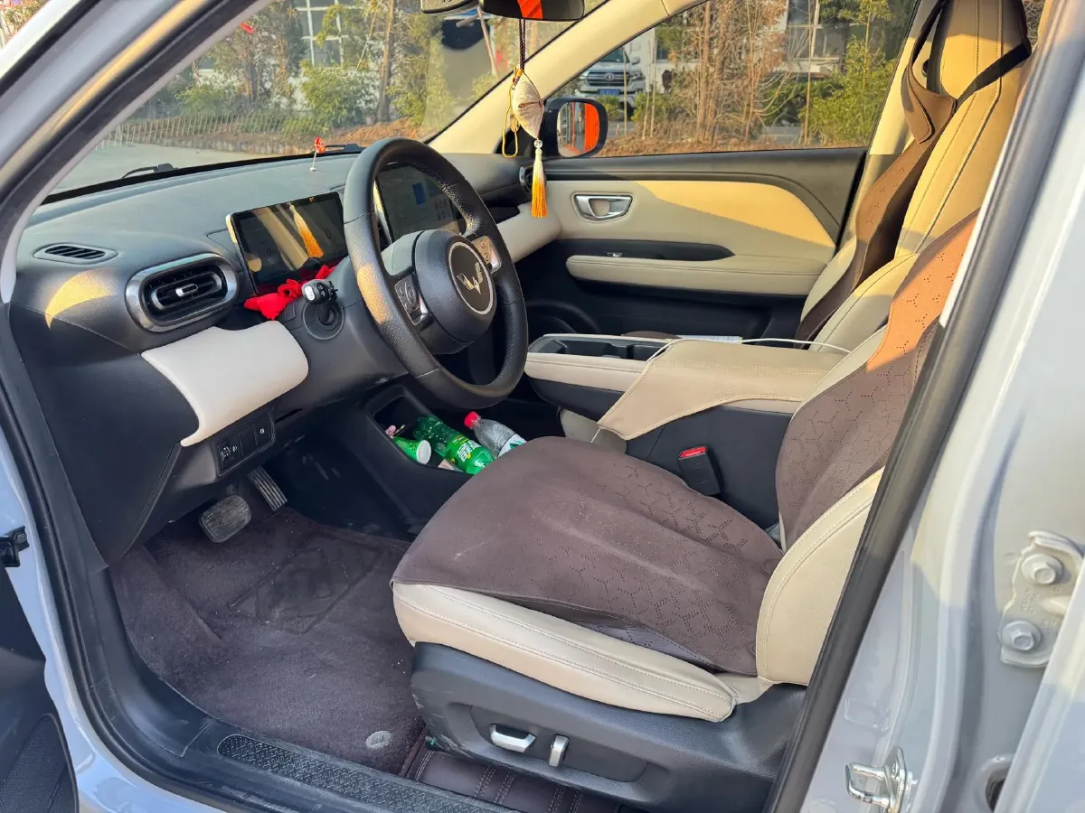 2024 WuLing BinGuoPLUS BEV 50.6KWH,autocango,china used car exporter,china ev exporter,chinese used car exporter,chinese used ev exporter