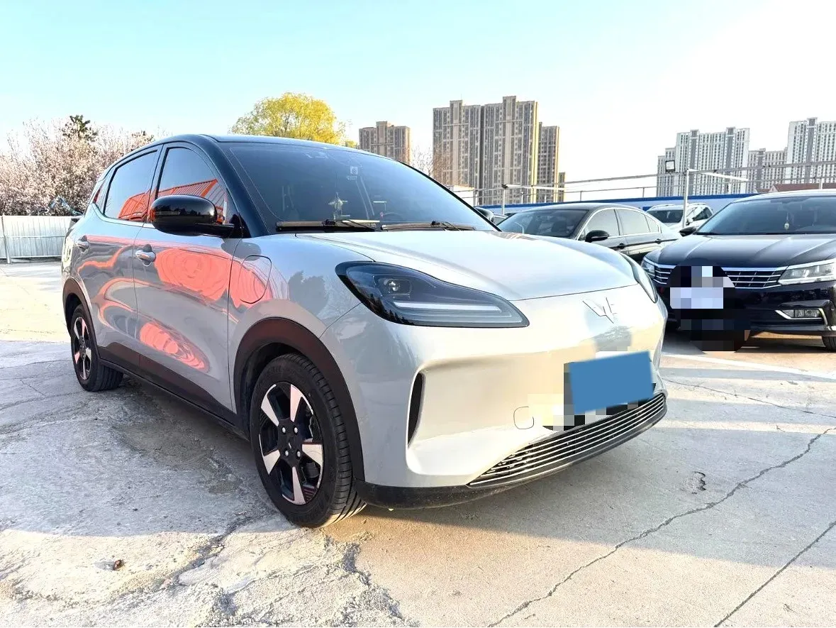 2024 WuLing BinGuoPLUS BEV 50.6KWH,autocango,china used car exporter,china ev exporter,chinese used car exporter,chinese used ev exporter