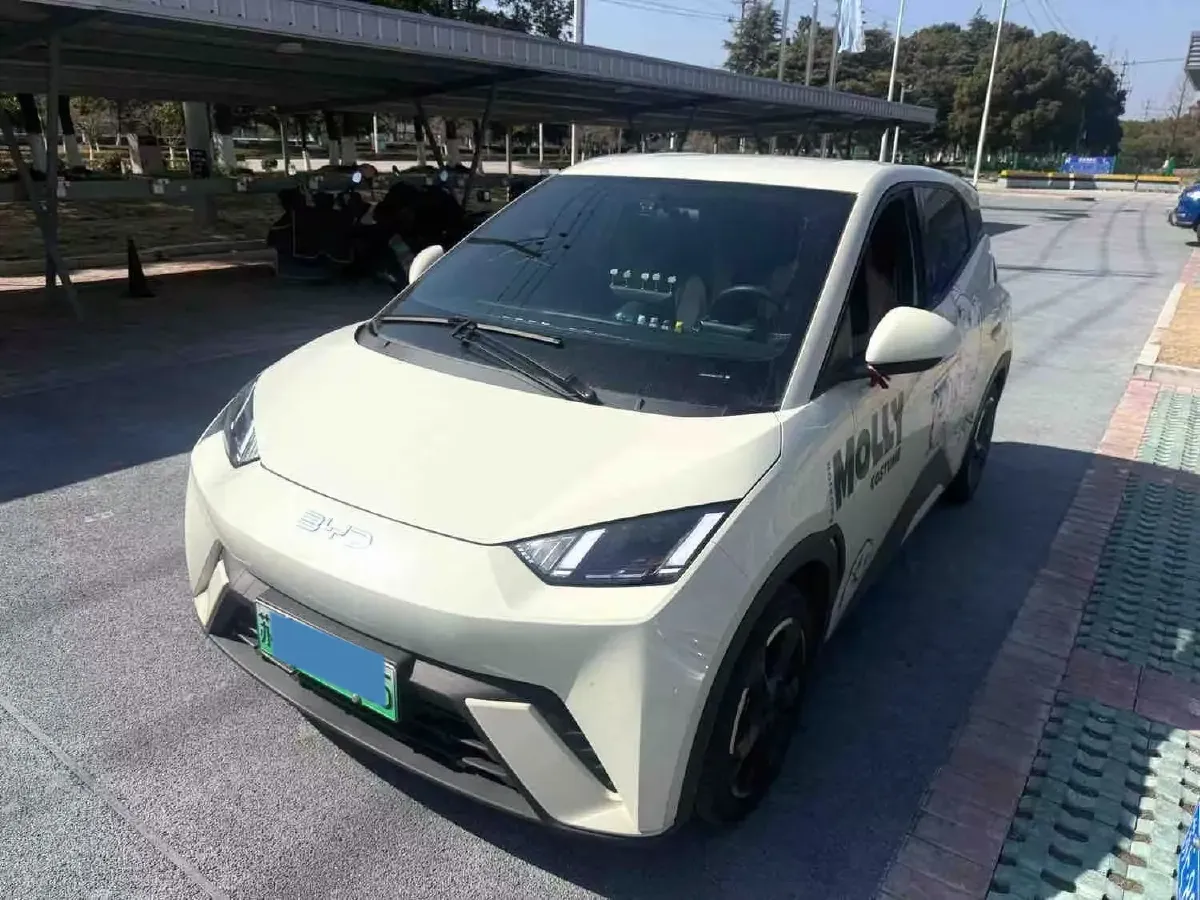 2024 BYD Seagull BEV 38.88KWH,autocango,china used car exporter,china ev exporter,chinese used car exporter,chinese used ev exporter