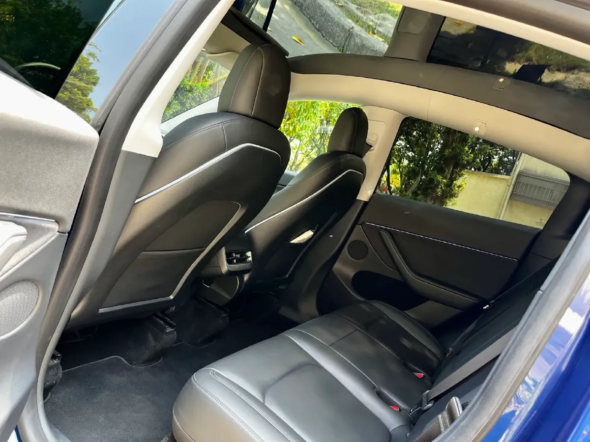 2021 Tesla Model 3 BEV 76.8KWH,autocango,china used car exporter,china ev exporter,chinese used car exporter,chinese used ev exporter