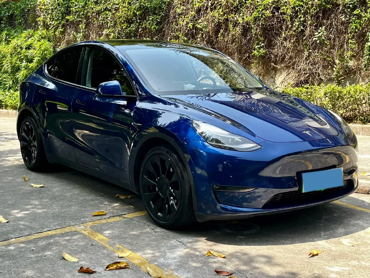 2021 Tesla Model 3 BEV 76.8KWH,autocango,china used car exporter,china ev exporter,chinese used car exporter,chinese used ev exporter