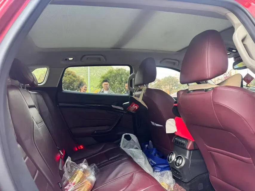 2017 WEY VV7 2.0T 234HP L4 7DCT,autocango,china used car exporter,china ev exporter,chinese used car exporter,chinese used ev exporter