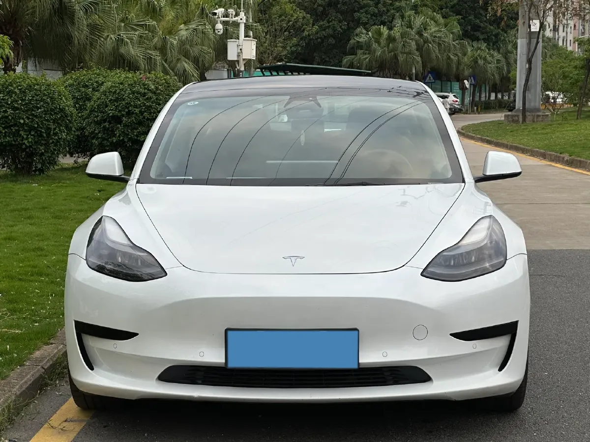 2021 Tesla Model 3 BEV 55KWH,autocango,china used car exporter,china ev exporter,chinese used car exporter,chinese used ev exporter