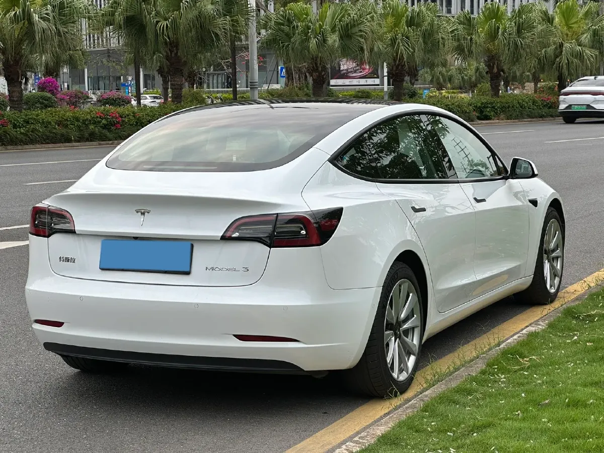 2021 Tesla Model 3 BEV 55KWH,autocango,china used car exporter,china ev exporter,chinese used car exporter,chinese used ev exporter
