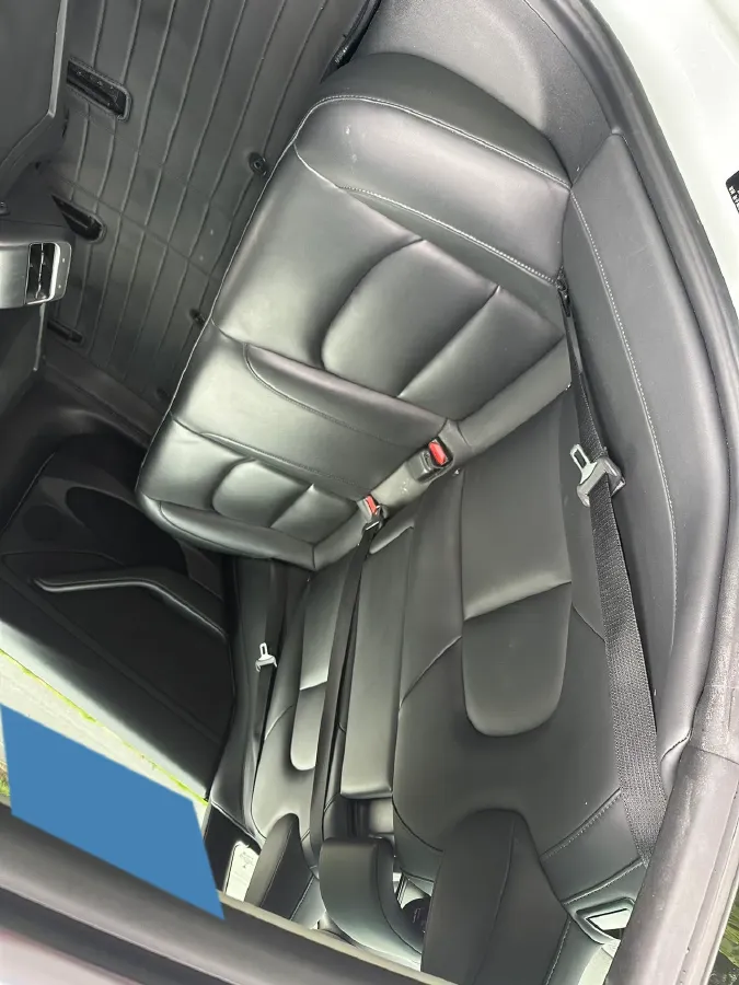 2021 Tesla Model 3 BEV 55KWH,autocango,china used car exporter,china ev exporter,chinese used car exporter,chinese used ev exporter