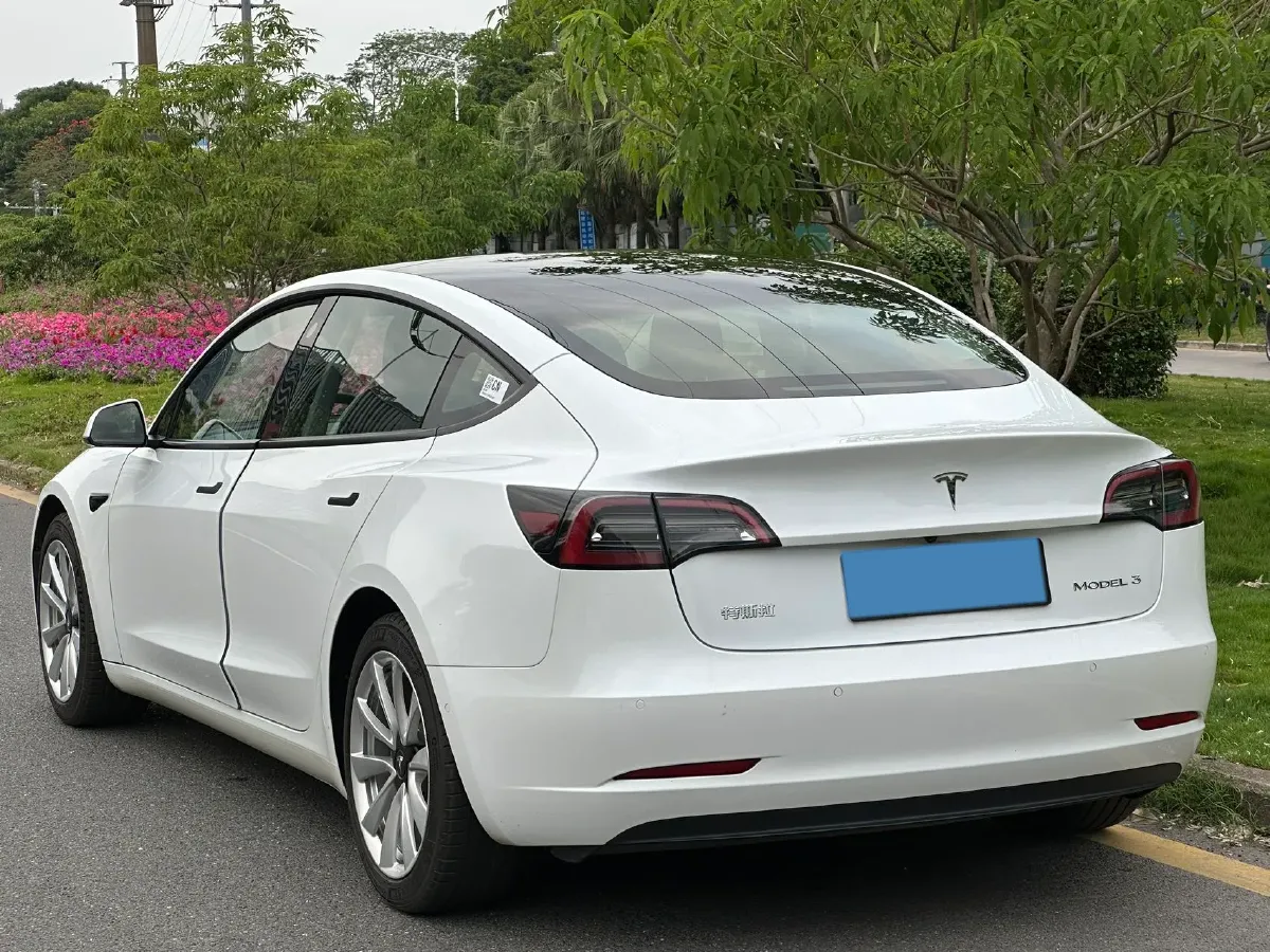 2021 Tesla Model 3 BEV 55KWH,autocango,china used car exporter,china ev exporter,chinese used car exporter,chinese used ev exporter