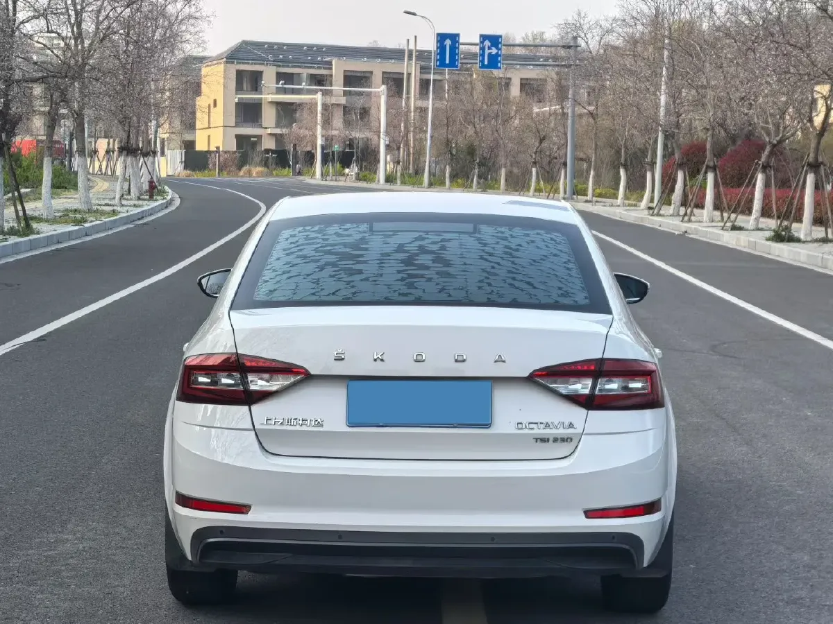2019 Skoda Octavia 1.2T 116HP L4 7DCT,autocango,china used car exporter,china ev exporter,chinese used car exporter,chinese used ev exporter