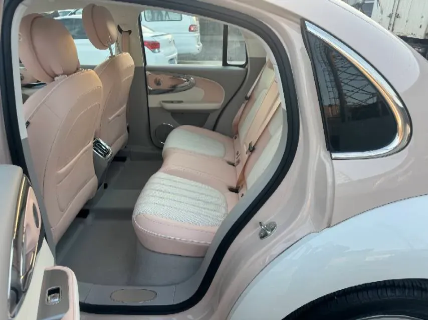 2022 Ora BalletCat BEV 49.92KWH,autocango,china used car exporter,china ev exporter,chinese used car exporter,chinese used ev exporter