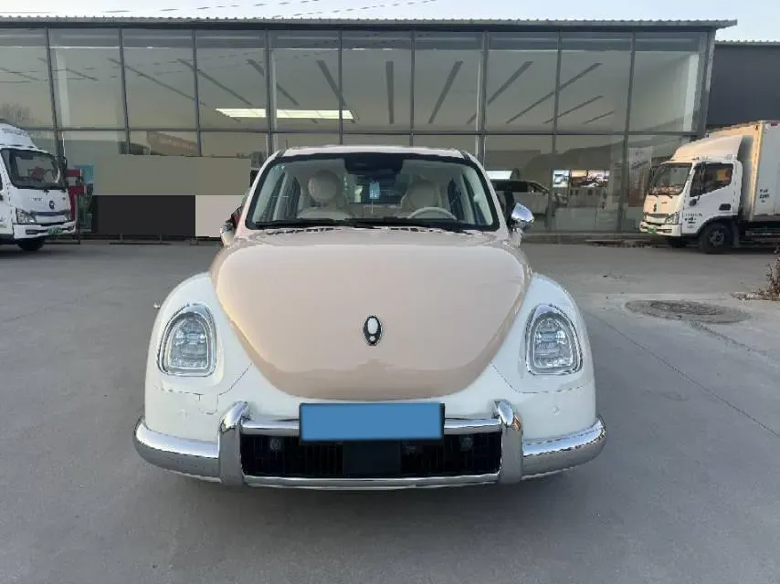 2022 Ora BalletCat BEV 49.92KWH,autocango,china used car exporter,china ev exporter,chinese used car exporter,chinese used ev exporter