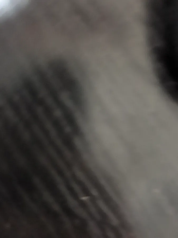 2016 Peugeot 308 1.6L 117HP L4 6AT,autocango,china used car exporter,china ev exporter,chinese used car exporter,chinese used ev exporter