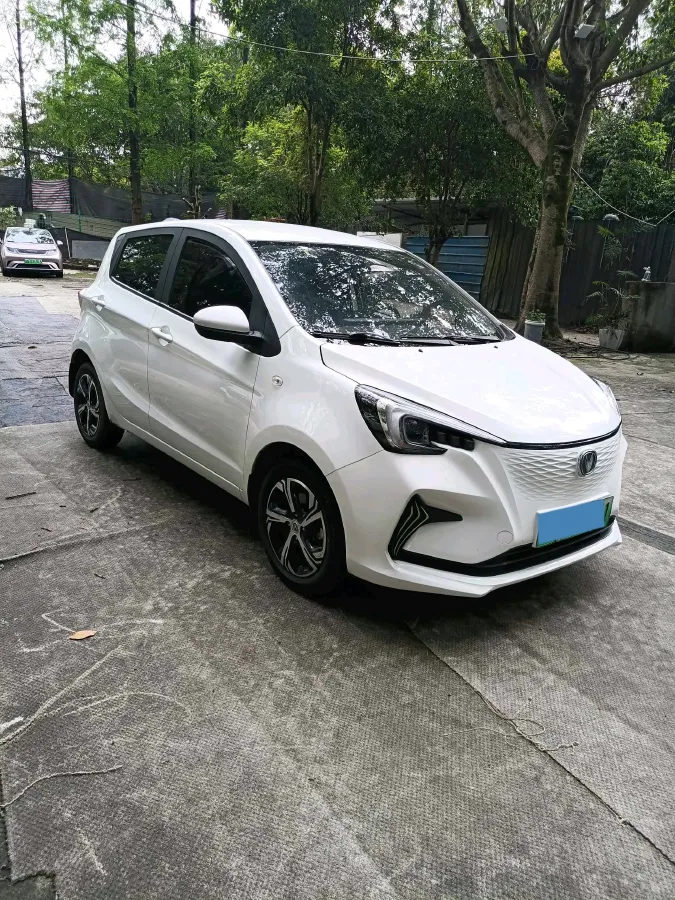 2021 ChangAn BenBen E-Star BEV 32.2KWH,autocango,china used car exporter,china ev exporter,chinese used car exporter,chinese used ev exporter