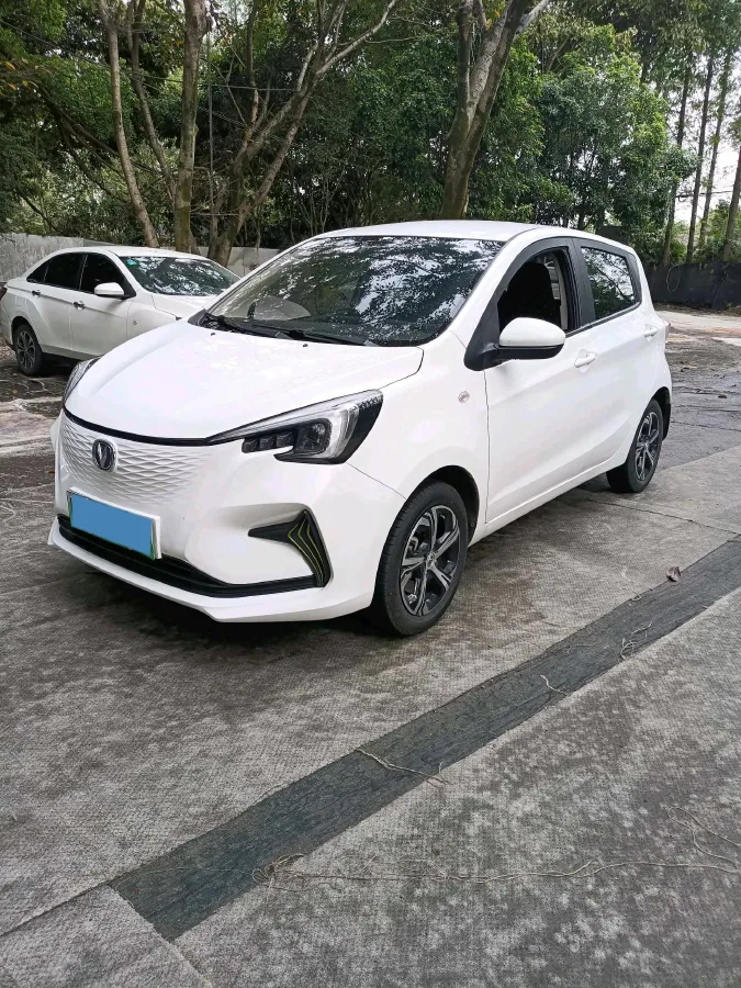 2021 ChangAn BenBen E-Star BEV 32.2KWH,autocango,china used car exporter,china ev exporter,chinese used car exporter,chinese used ev exporter