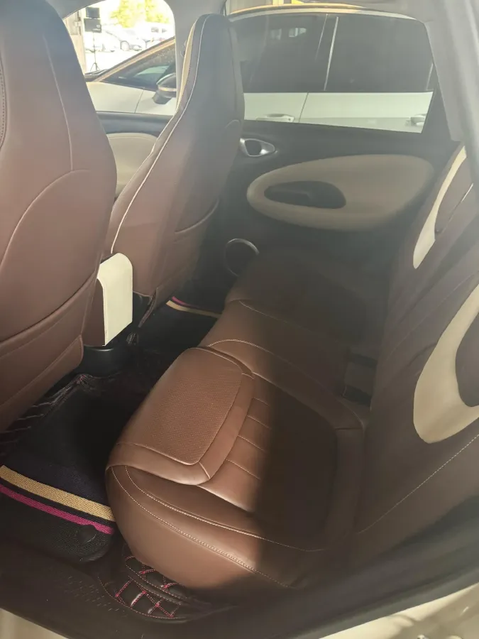 2023 WuLing BinGuo BEV 31.9KWH,autocango,china used car exporter,china ev exporter,chinese used car exporter,chinese used ev exporter