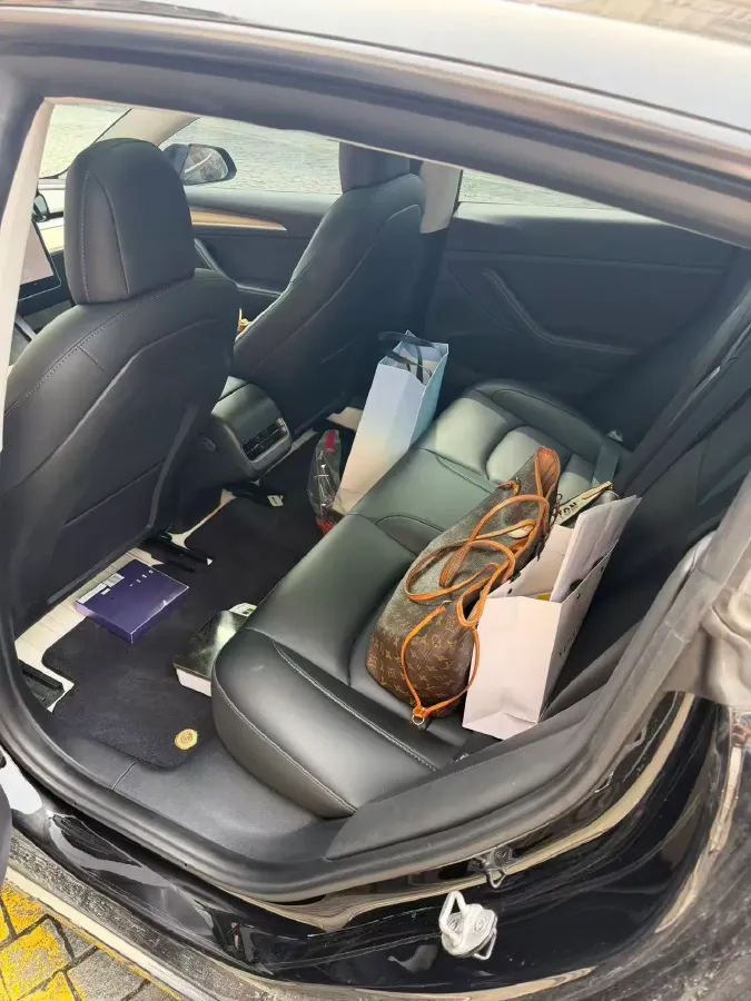 2022 Tesla Model 3 BEV 60KWH,autocango,china used car exporter,china ev exporter,chinese used car exporter,chinese used ev exporter