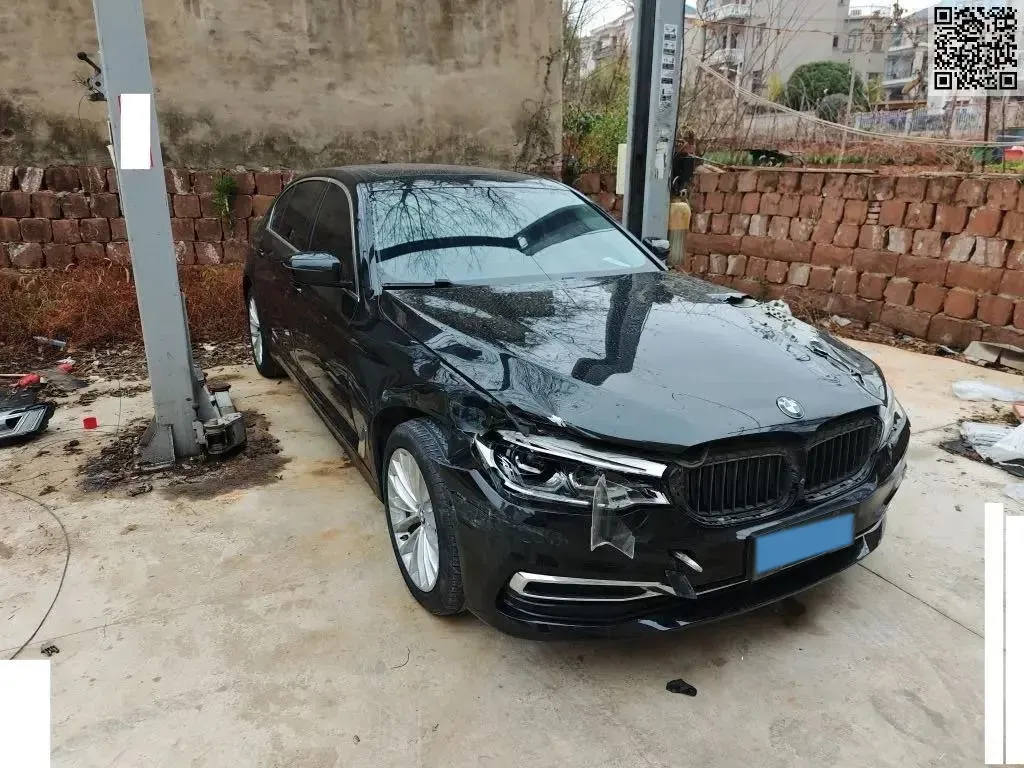 2020 BMW 5 Series 2.0T 252HP L4 8AT,autocango,china used car exporter,china ev exporter,chinese used car exporter,chinese used ev exporter