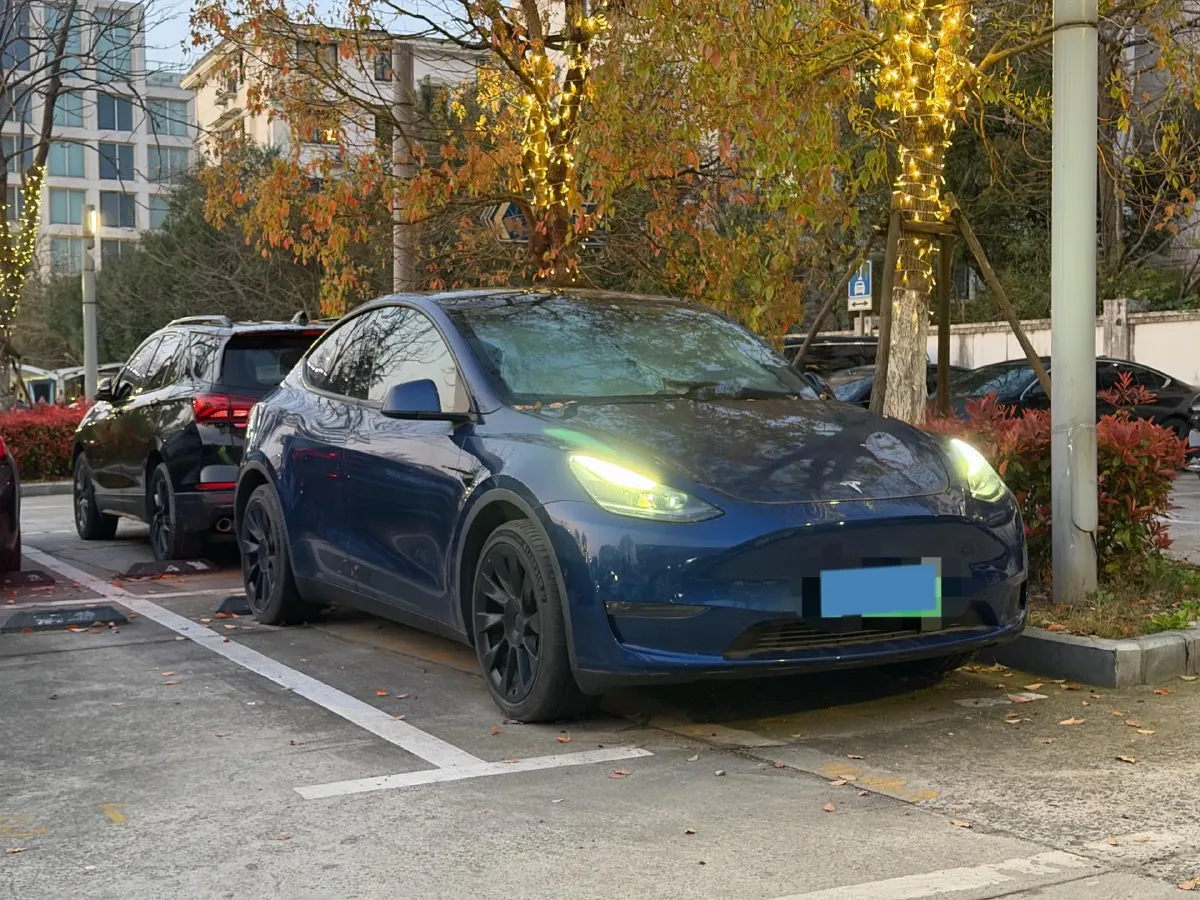 2021 Tesla Model 3 BEV 76.8KWH,autocango,china used car exporter,china ev exporter,chinese used car exporter,chinese used ev exporter