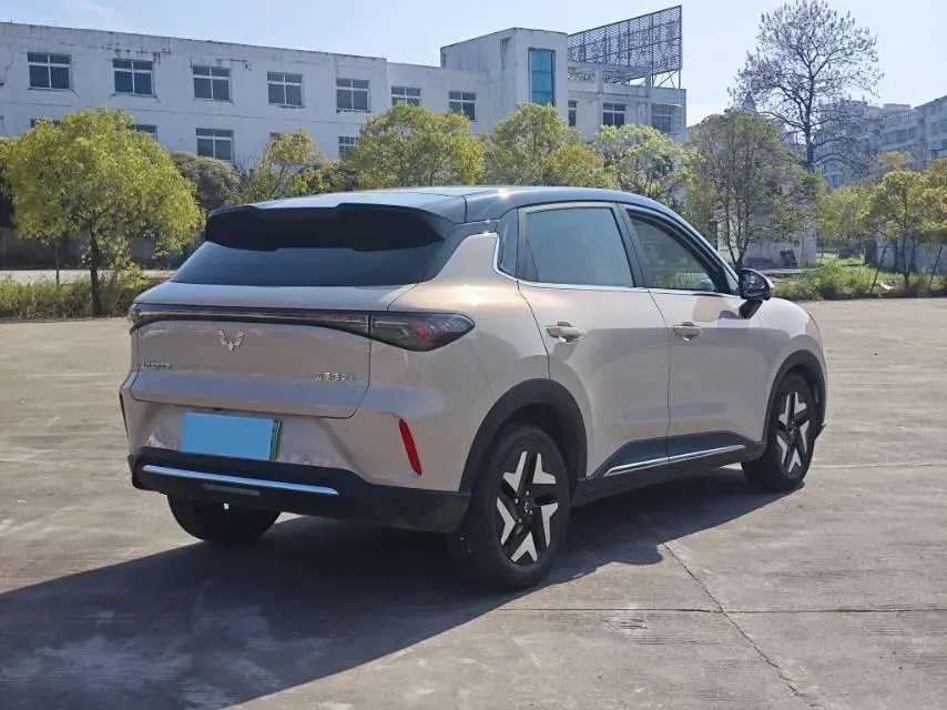 2025 WuLing BinGuo BEV,autocango,china used car exporter,china ev exporter,chinese used car exporter,chinese used ev exporter