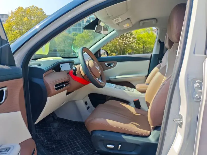 2025 WuLing BinGuo BEV,autocango,china used car exporter,china ev exporter,chinese used car exporter,chinese used ev exporter