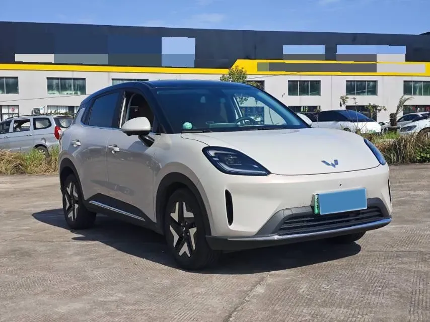 2025 WuLing BinGuo BEV,autocango,china used car exporter,china ev exporter,chinese used car exporter,chinese used ev exporter