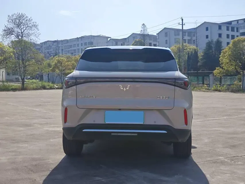 2025 WuLing BinGuo BEV,autocango,china used car exporter,china ev exporter,chinese used car exporter,chinese used ev exporter