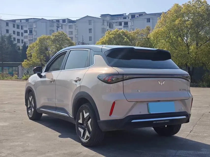 2025 WuLing BinGuo BEV,autocango,china used car exporter,china ev exporter,chinese used car exporter,chinese used ev exporter