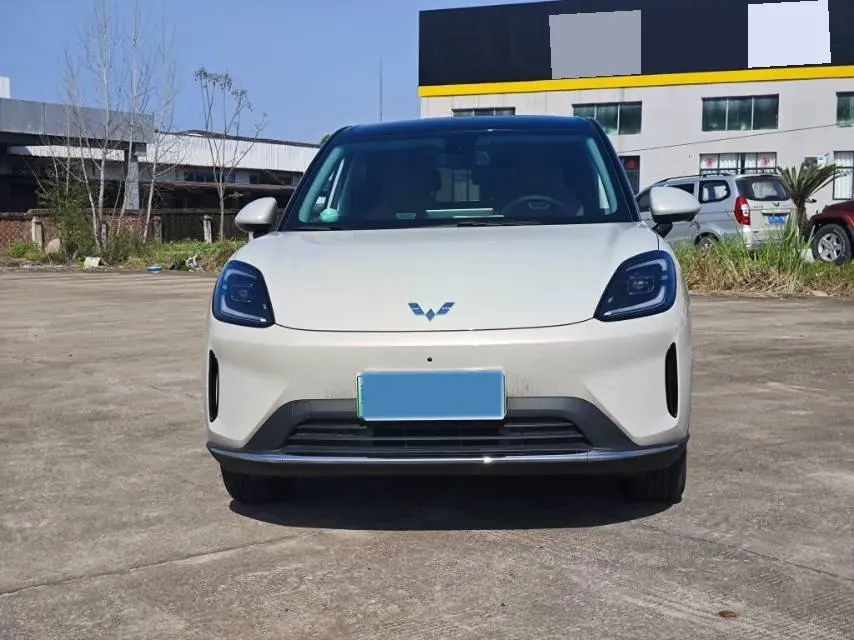 2025 WuLing BinGuo BEV,autocango,china used car exporter,china ev exporter,chinese used car exporter,chinese used ev exporter
