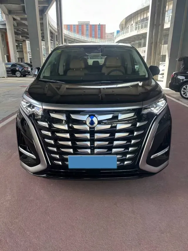 2025 Denza DenzaN9 2.0T 207HP L4 E-CVT PHEV,autocango,china used car exporter,china ev exporter,chinese used car exporter,chinese used ev exporter