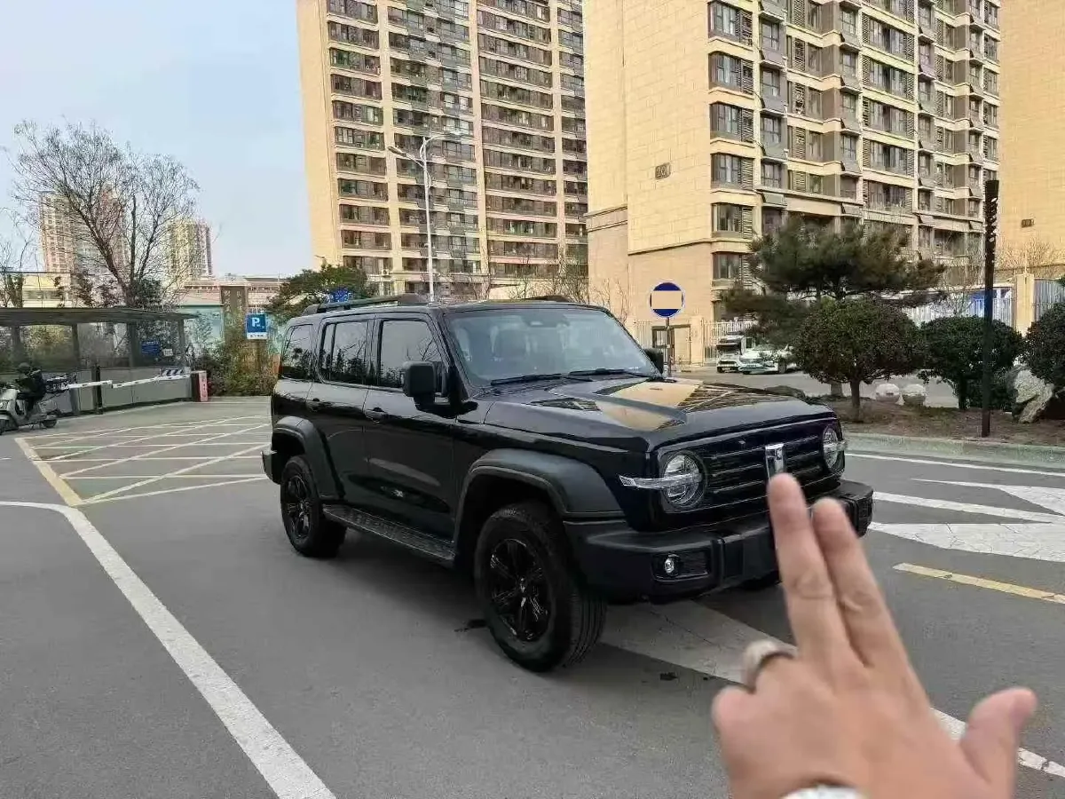 2024 Tank 300 2.0T 227HP L4 8AT,autocango,china used car exporter,china ev exporter,chinese used car exporter,chinese used ev exporter