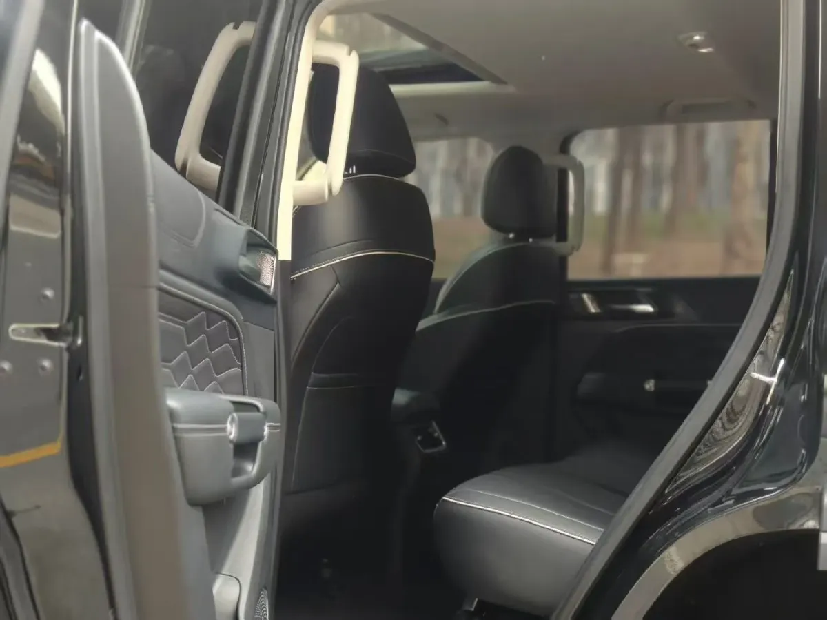 2024 Tank 300 2.0T 227HP L4 8AT,autocango,china used car exporter,china ev exporter,chinese used car exporter,chinese used ev exporter