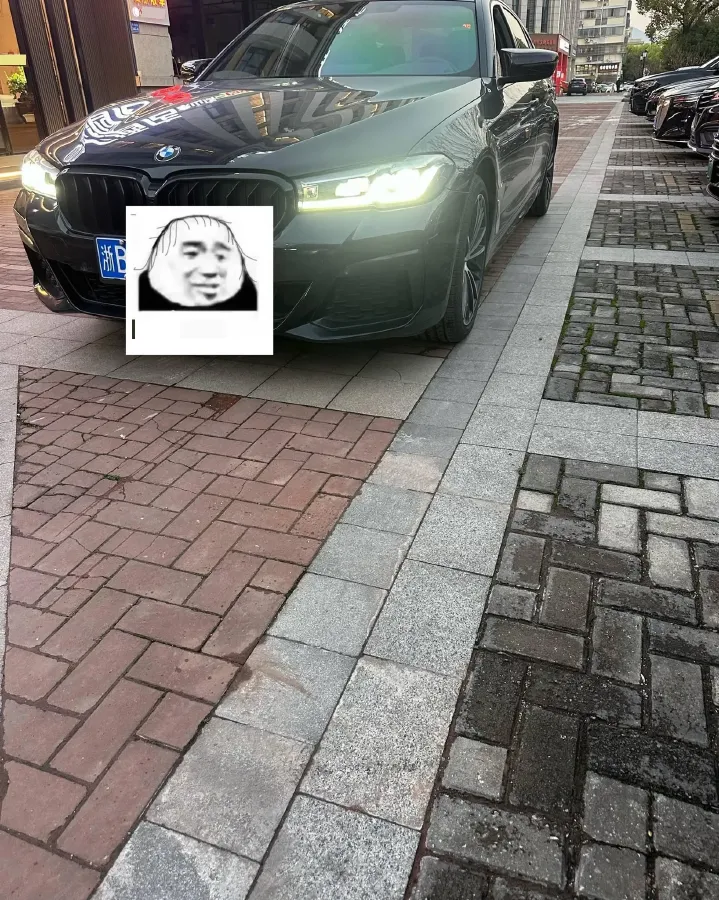 2021 BMW 5 Series 2.0T 252HP L4 8AT,autocango,china used car exporter,china ev exporter,chinese used car exporter,chinese used ev exporter