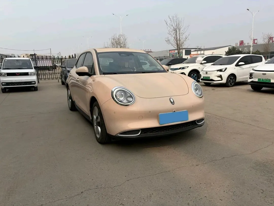 2021 Ora FunkyCat BEV 45.99KWH,autocango,china used car exporter,china ev exporter,chinese used car exporter,chinese used ev exporter