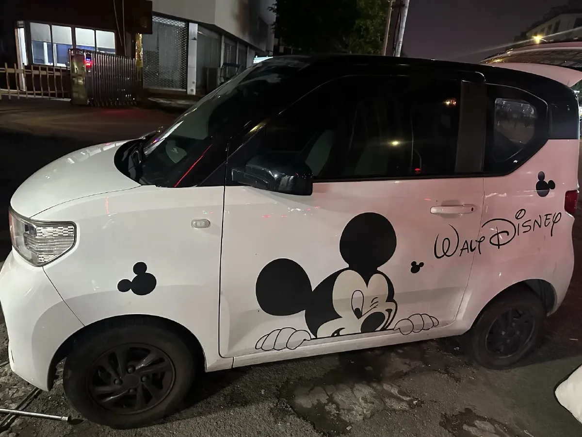 2020 WuLing HongGuang MINI EV BEV 9KWH,autocango,china used car exporter,china ev exporter,chinese used car exporter,chinese used ev exporter