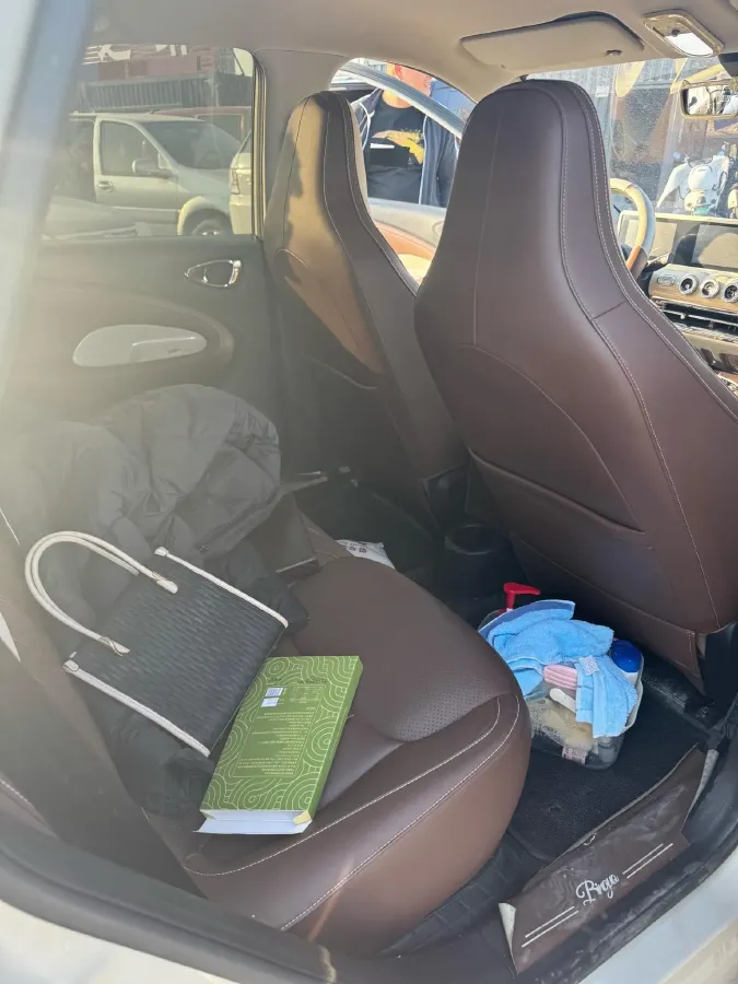 2023 WuLing BinGuo BEV 31.9KWH,autocango,china used car exporter,china ev exporter,chinese used car exporter,chinese used ev exporter