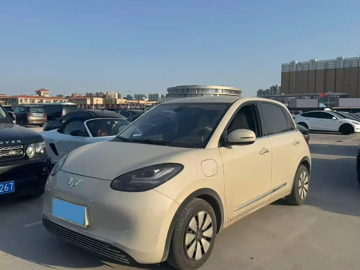 2023 WuLing BinGuo BEV 31.9KWH,autocango,china used car exporter,china ev exporter,chinese used car exporter,chinese used ev exporter