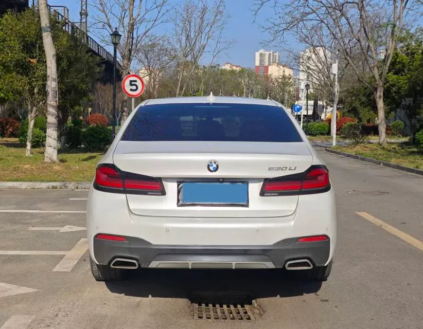2021 BMW 5 Series 2.0T 252HP L4 8AT,autocango,china used car exporter,china ev exporter,chinese used car exporter,chinese used ev exporter