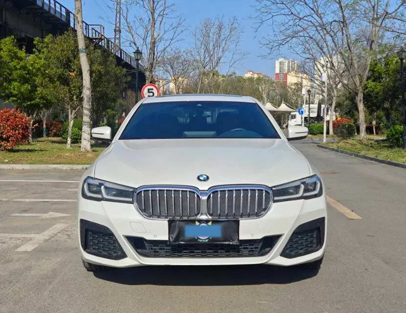 2021 BMW 5 Series 2.0T 252HP L4 8AT,autocango,china used car exporter,china ev exporter,chinese used car exporter,chinese used ev exporter