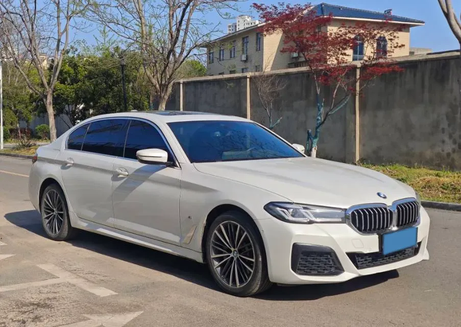 2021 BMW 5 Series 2.0T 252HP L4 8AT,autocango,china used car exporter,china ev exporter,chinese used car exporter,chinese used ev exporter
