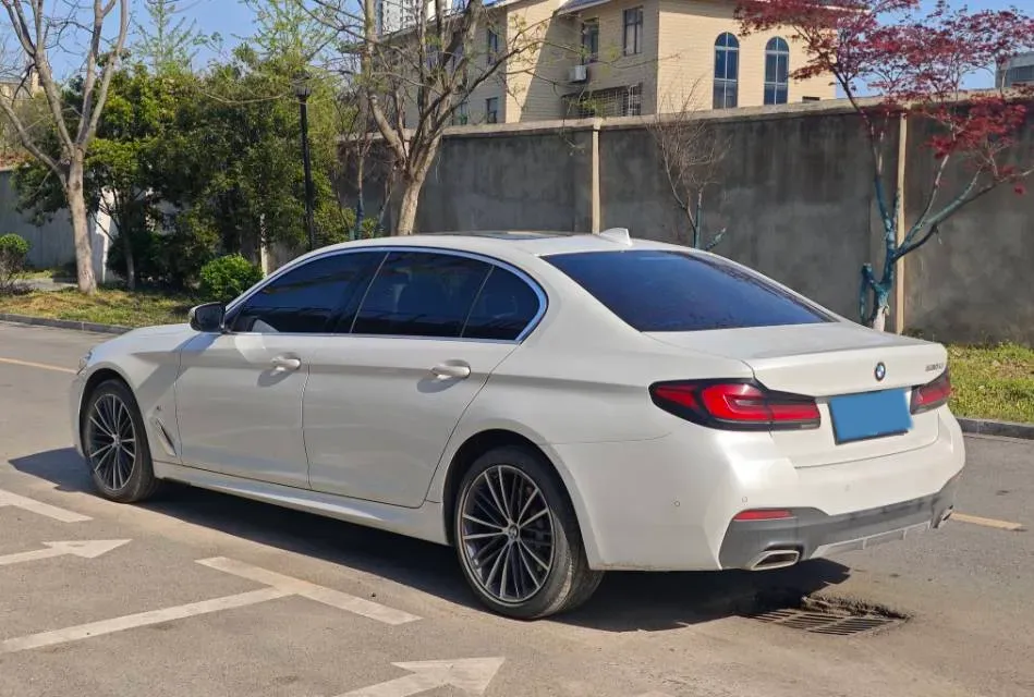 2021 BMW 5 Series 2.0T 252HP L4 8AT,autocango,china used car exporter,china ev exporter,chinese used car exporter,chinese used ev exporter